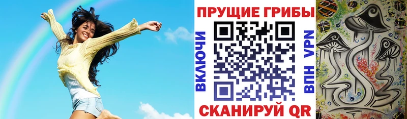 Псилоцибиновые грибы GOLDEN TEACHER  как найти   Куйбышев 