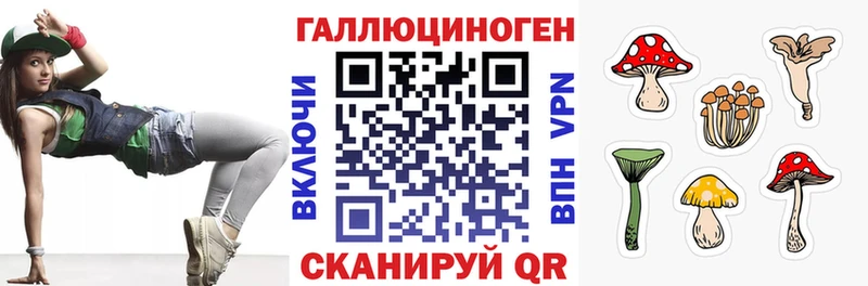 Галлюциногенные грибы Psilocybine cubensis Куйбышев